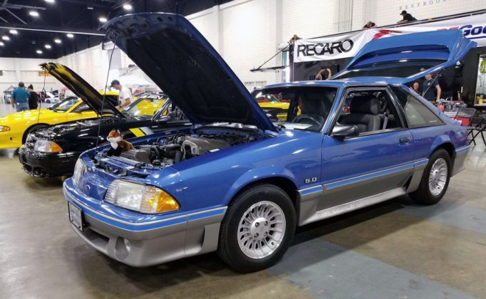 Andy's 1989 All Original 89 GT Hatch Fox Body - FoxStang.com